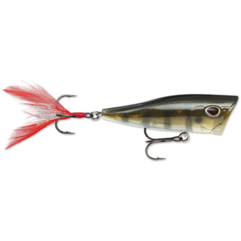 Storm ACP08691 Arashi Cover Pop – Green Gill