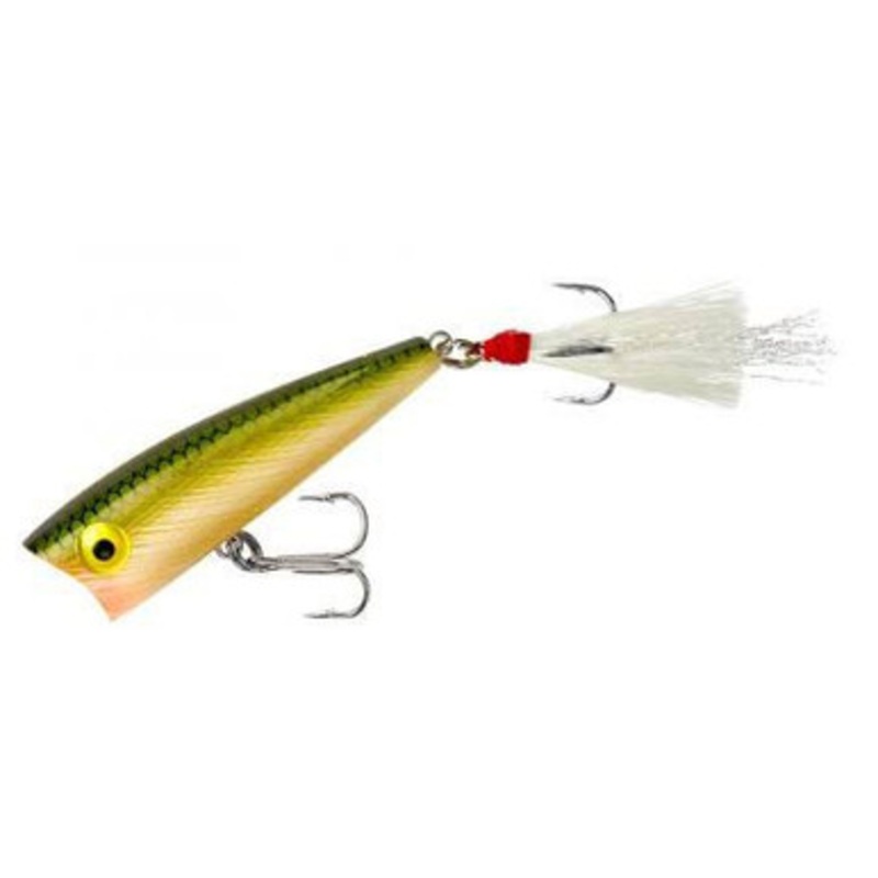 Rebel Pop R – Tennessee Shad