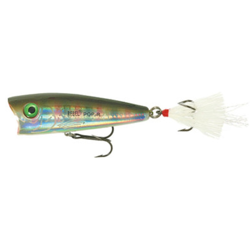 Rebel Pop R – Rainbow Trout