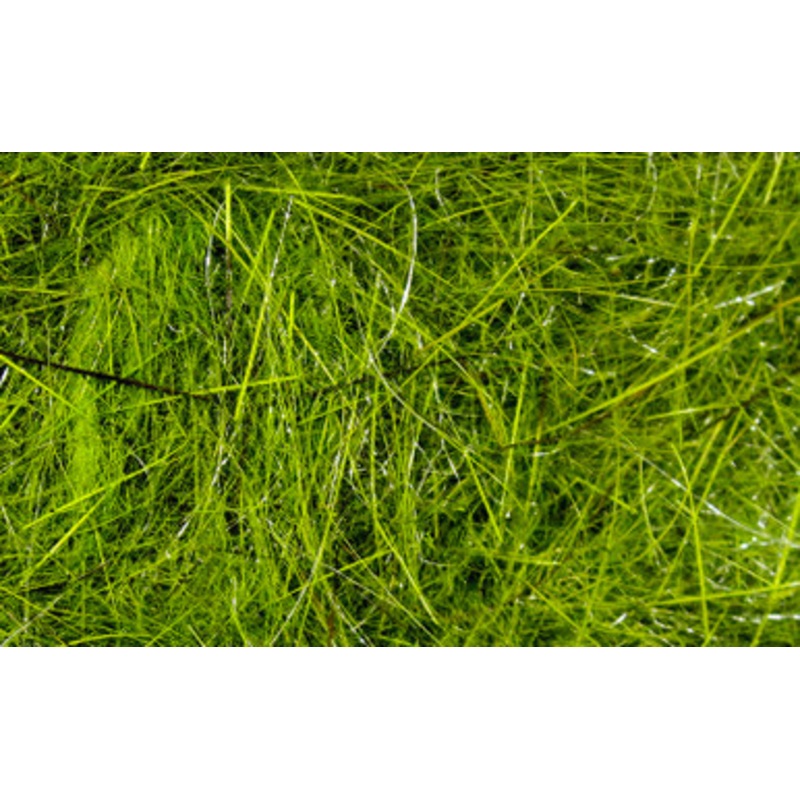 Hareline Dubbin Hare’s Ear Plus Dubbing – Olive