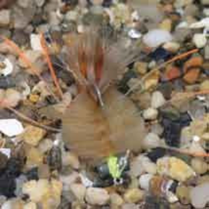 Enrico Puglisi EP Crab Saltwater Fly – #2 – Tan