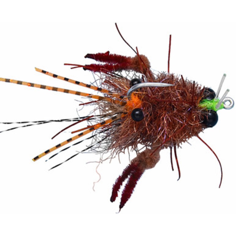 Enrico Puglisi Tarantula Mini Crab w/ Bead Chain Eye – #2 – Mottled Brown