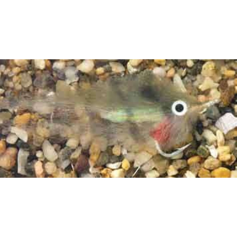 Enrico Puglisi Rattle Pinfish #2/0wg 3” Saltwater Fly