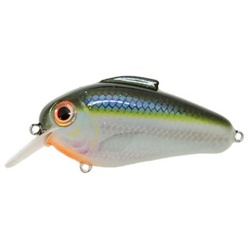 Bill Lewis Echo 1.75 Squarebill Crankbait – Blue Shiner