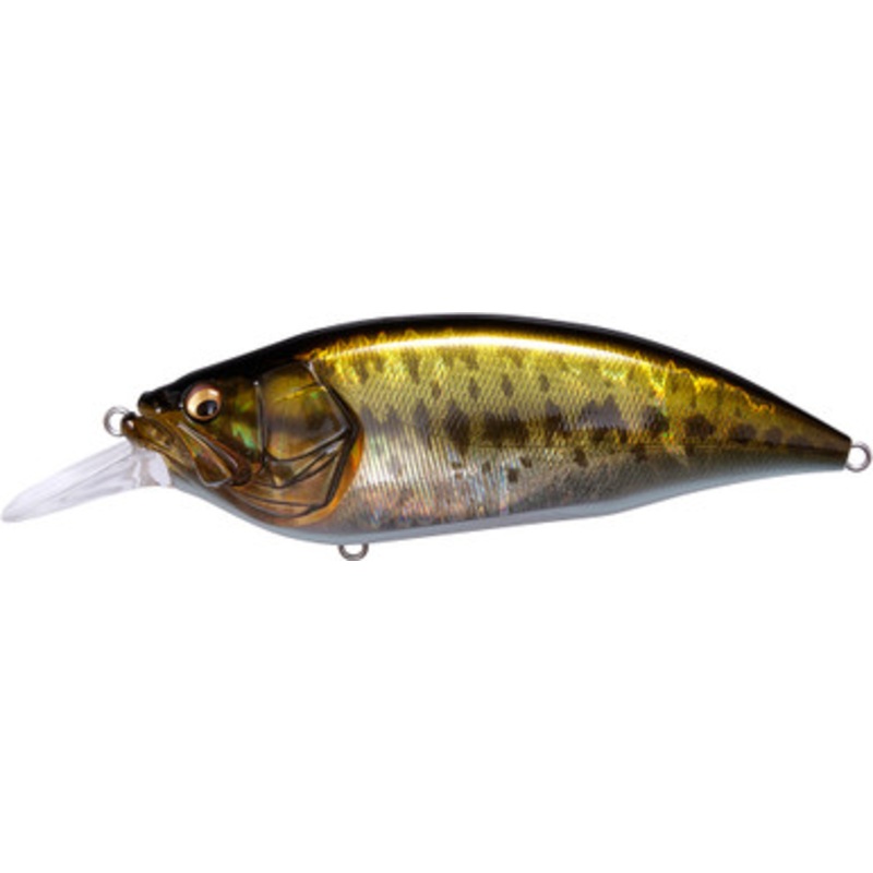 Megabass Big M 4.0 Crankbait – GG Largemouth
