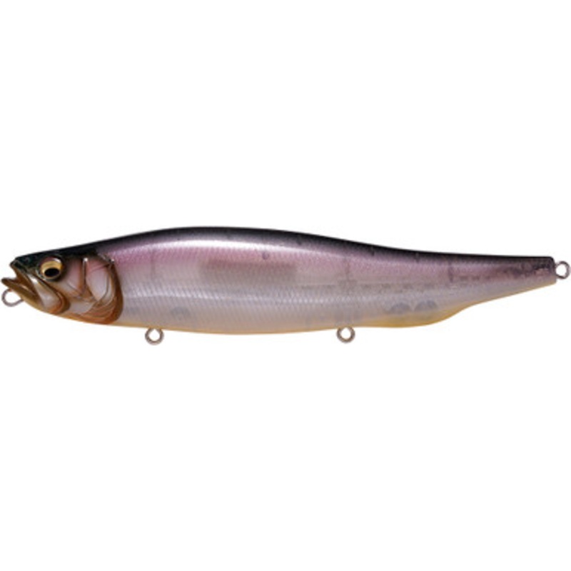 Megabass Megadog – Shintaro Natural
