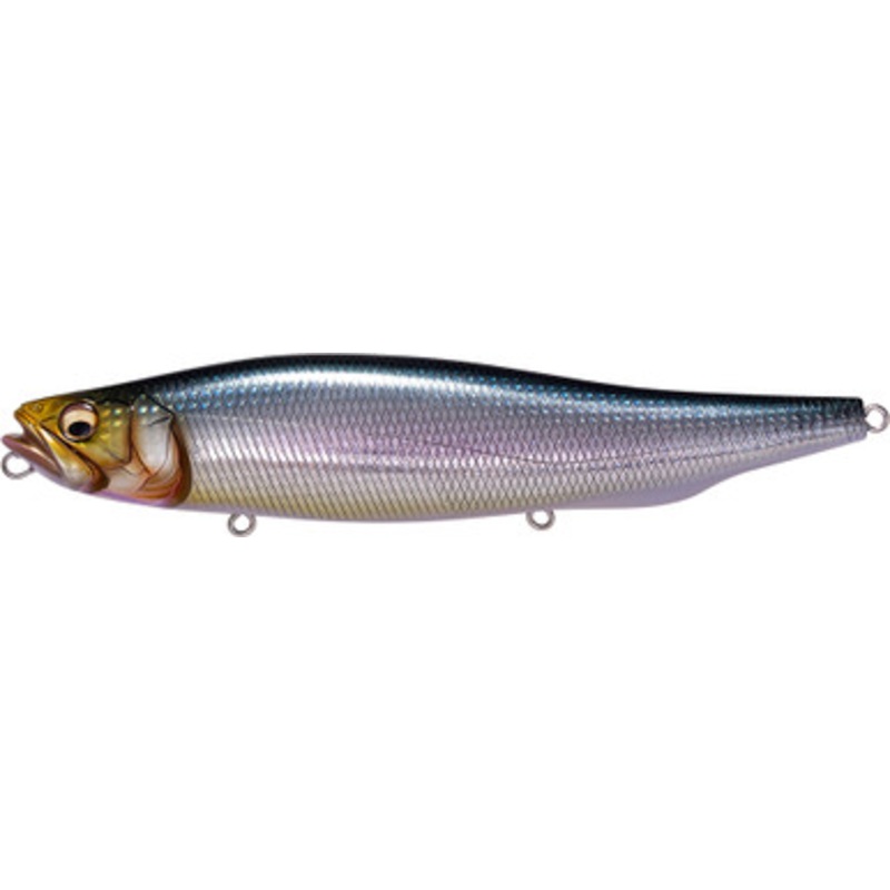 Megabass Megadog – Iwashi