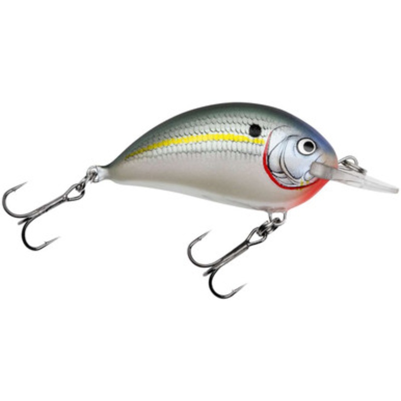 Bagley SB05-SD Sunny B 05 – Shad