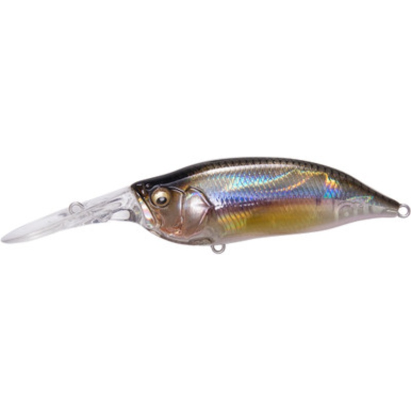 Megabass IXI Shad Type-3 Crankbait – Kasumi Ito