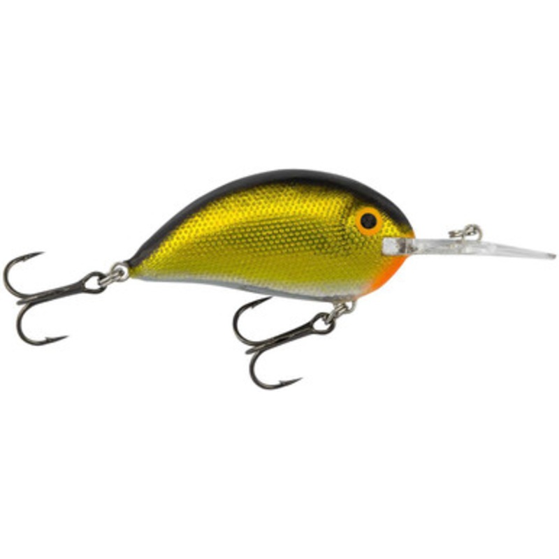 Bagley SSB05-G Shallow Sunny B 05 – Gold