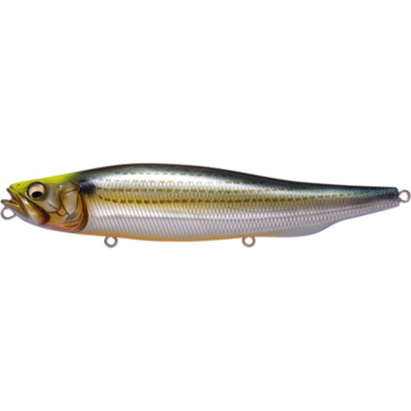 Megabass Megadog – Wagin Konoshiro Indicator