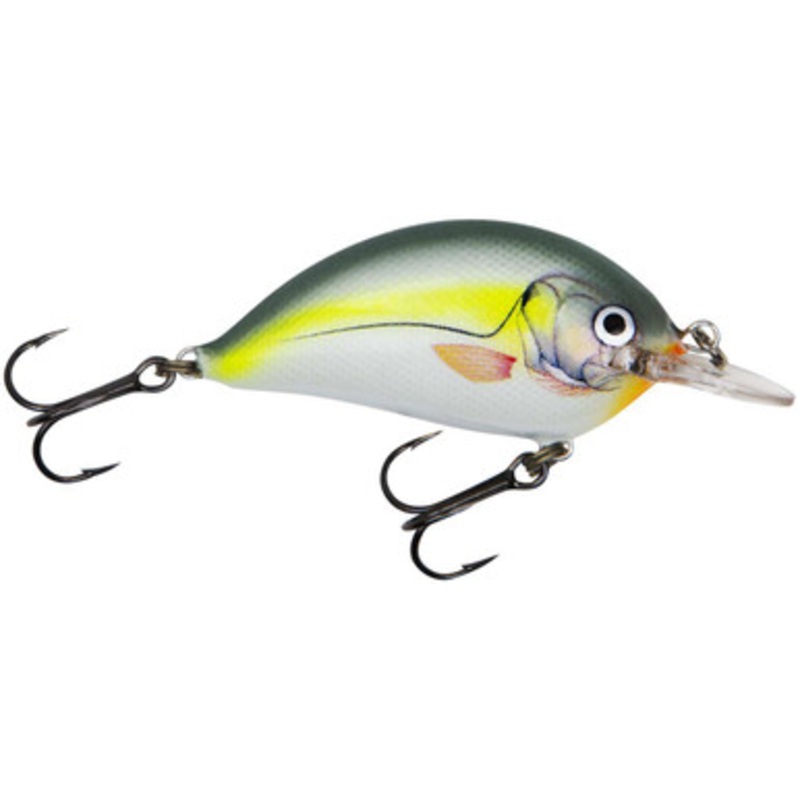 Bagley SB05-SS Sunny B 05 – Sexy Shad