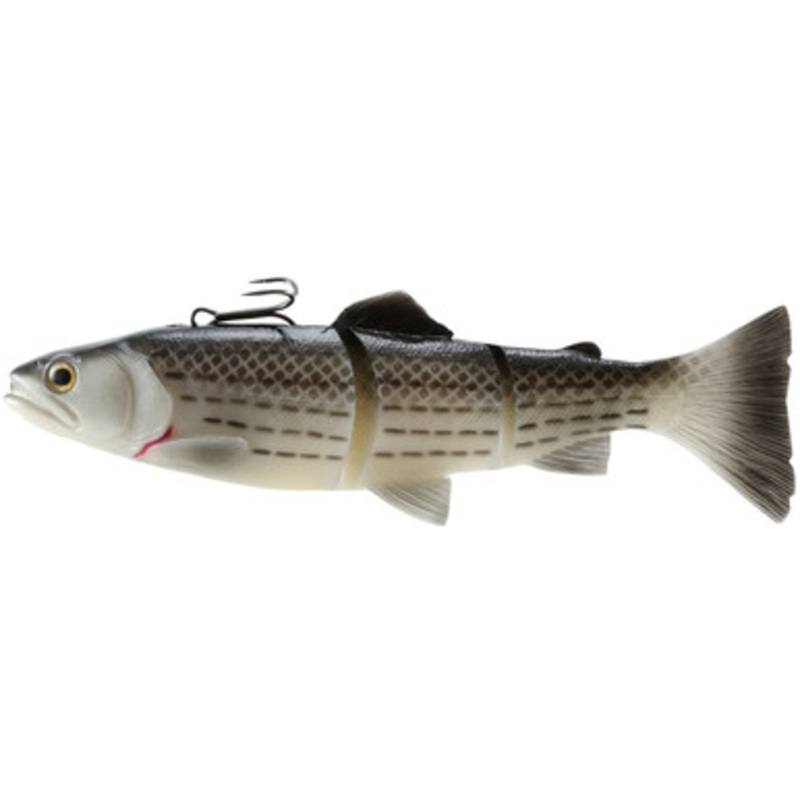 Savage Gear 3D Line Thru Trout – 6in – Slow Sinking – Hybrid/Mullet