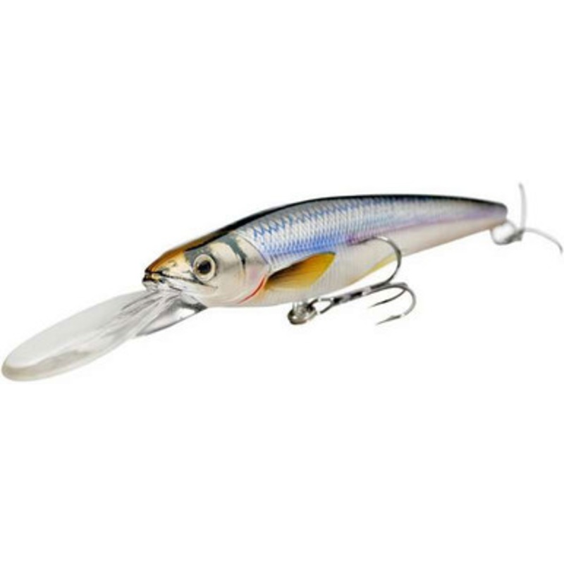 LIVETARGET Lures Rainbow Smelt Jerkbait RS115S Shallow Dive 4-1/2in 208 Gold/Black