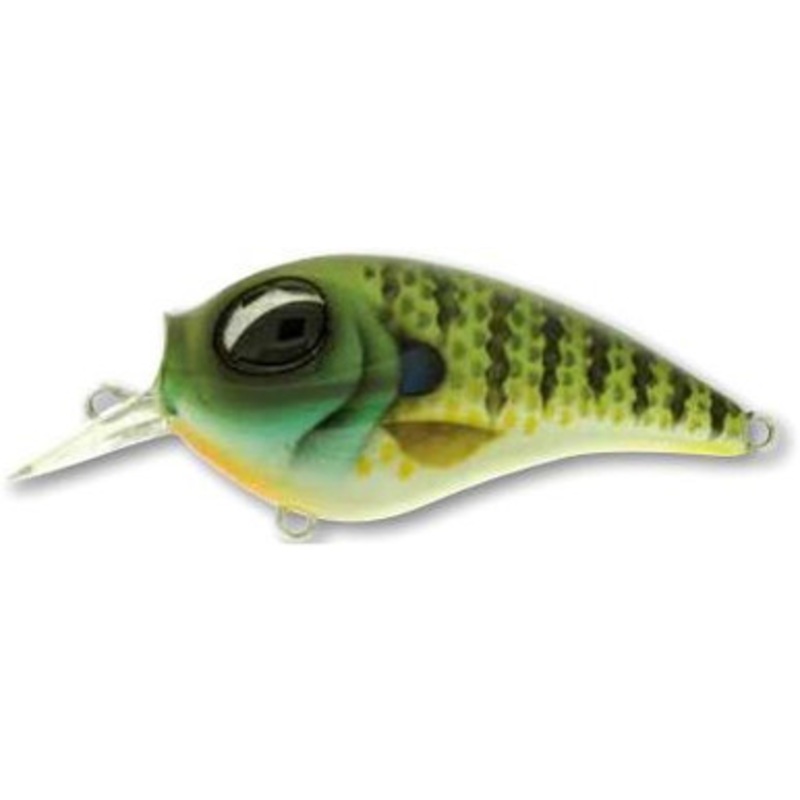 Molix SB Crank 55 – 2-1/4in – Blue Gill