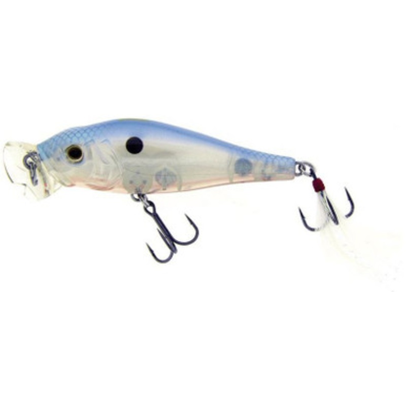 Molix Shaman Popper – 3-1/4in – Shinner Shad