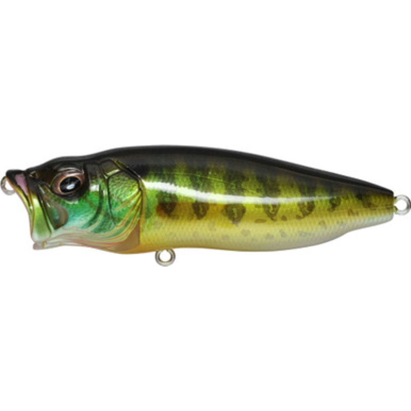 Megabass PopMax Pumpkin Seed