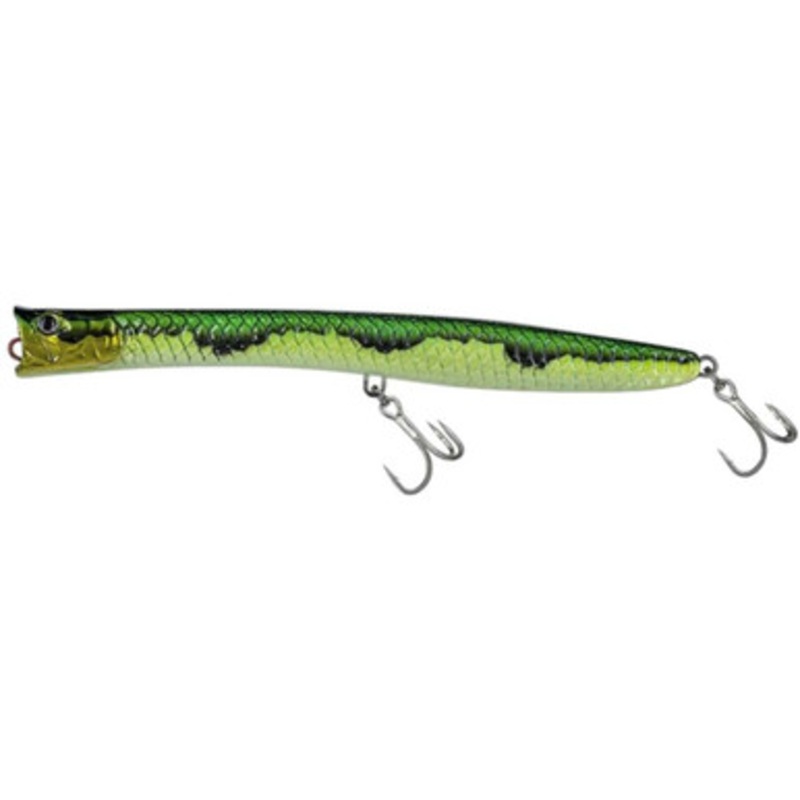 Molix Pencil Popper 200T – Tropical Chart