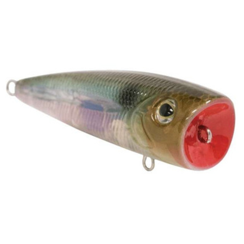 Livingston Lures 5339 Tournament Series Walk N Pop 67-1 Topwater Popper – Ghost Gizzard Shad