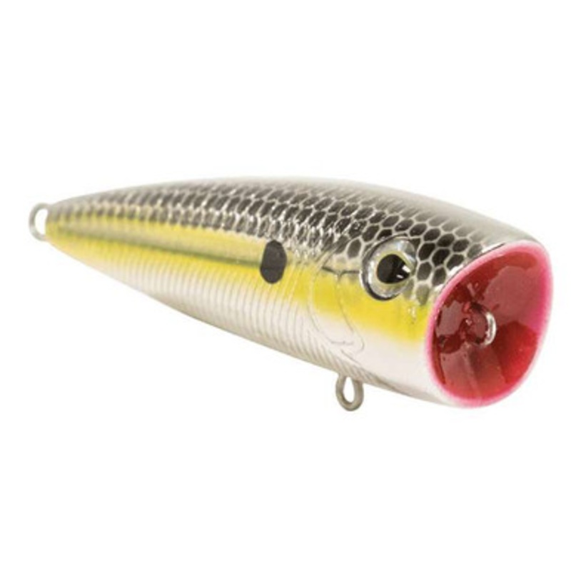 Livingston Lures 5334 Tournament Series Walk N Pop 67-1 Topwater Popper – Gold XXX Shad
