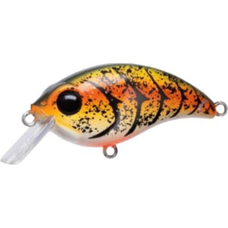 Bill Lewis ATV Squarebill 1.5 Crankbait – 2-1/4in – Rootbeer Craw