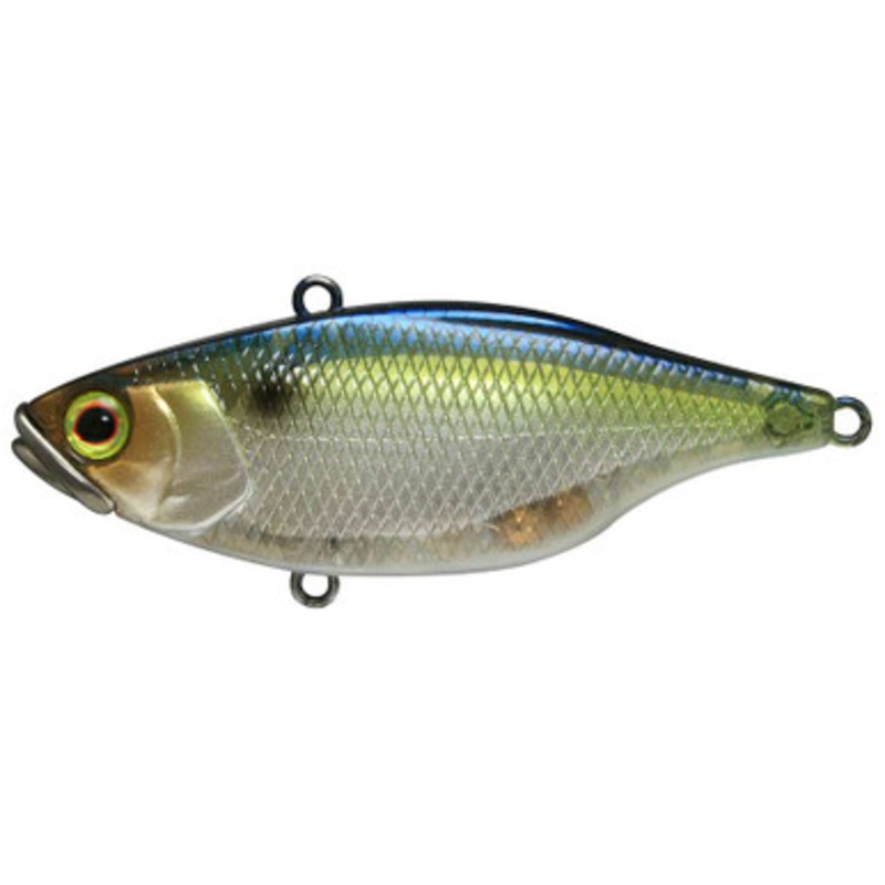 Jackall TN-80 Lipless Crankbait – SG Threadfin Shad