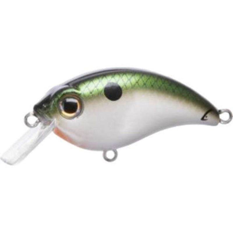 Bill Lewis ATV Squarebill 1.0 Crankbait – 2in – Tennessee Shad
