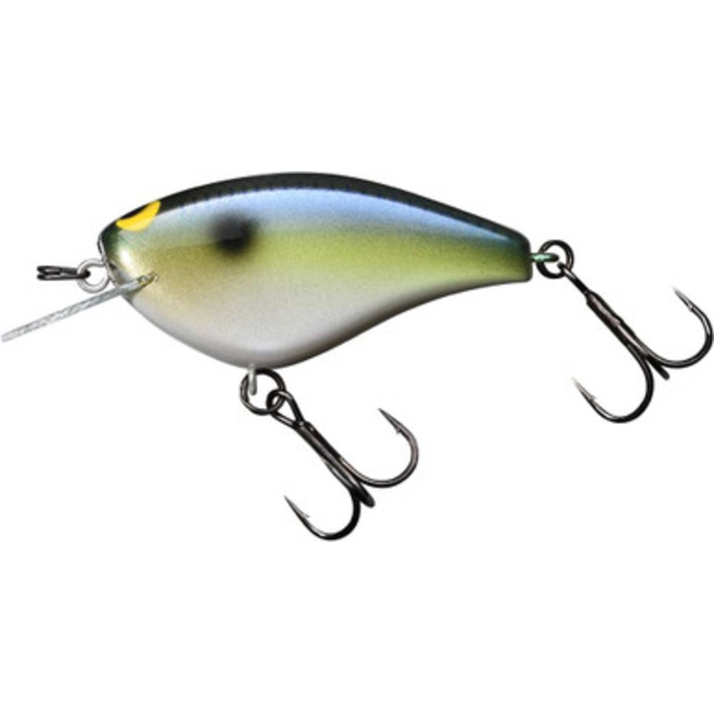 Jackall Bling 55 Flat-Sided Crankbait – SK Shad