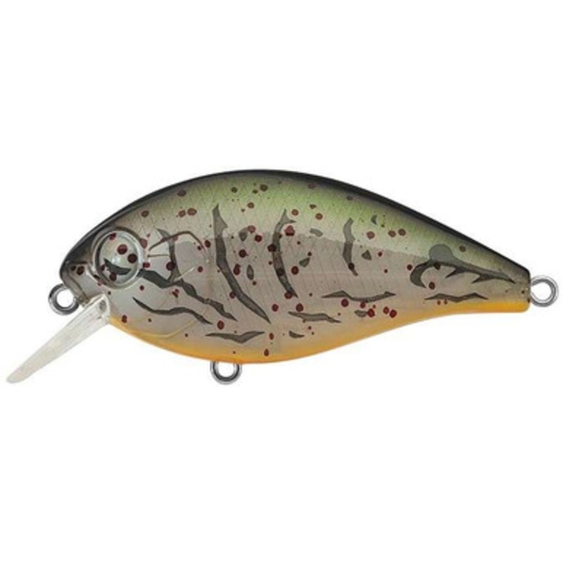 Evergreen SH-3 Crankbait – 11/16oz – Albino Craw