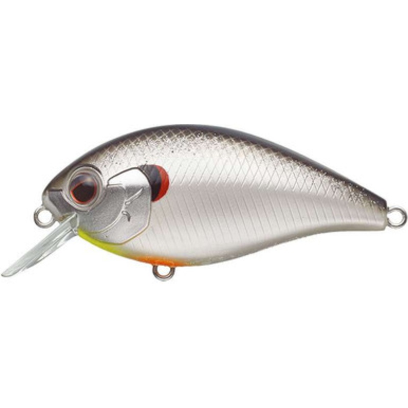 Evergreen SH-3 Squarebill Crankbait – Big Bite Shad