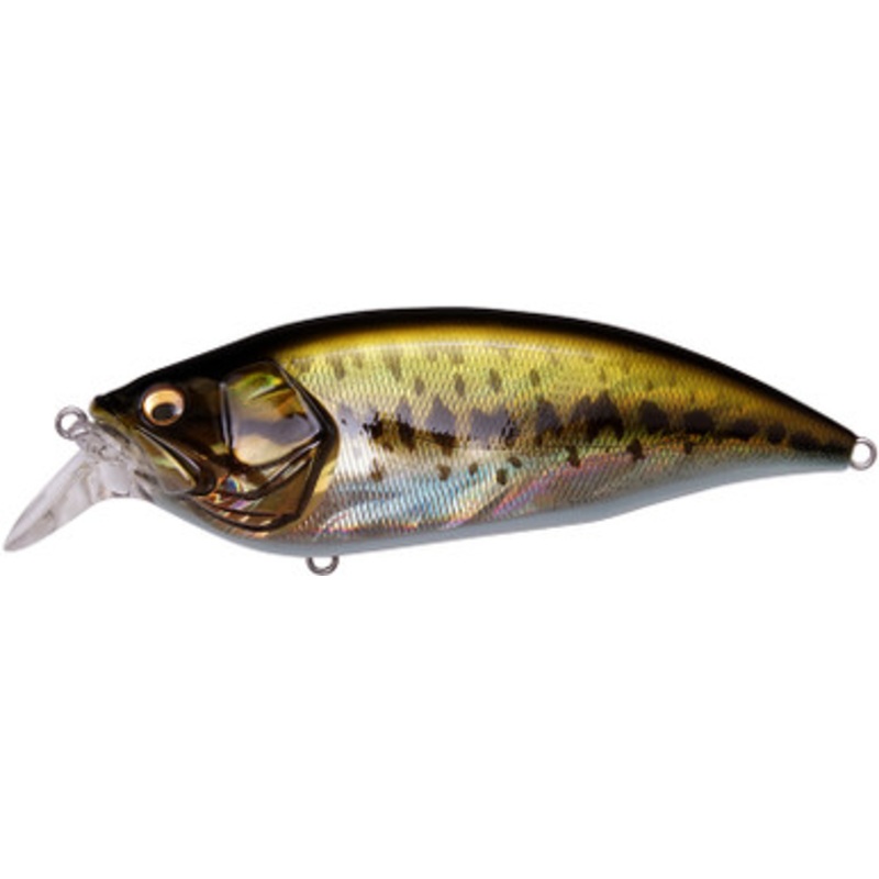Megabass Big M 2.0 Crankbait – GG Largemouth