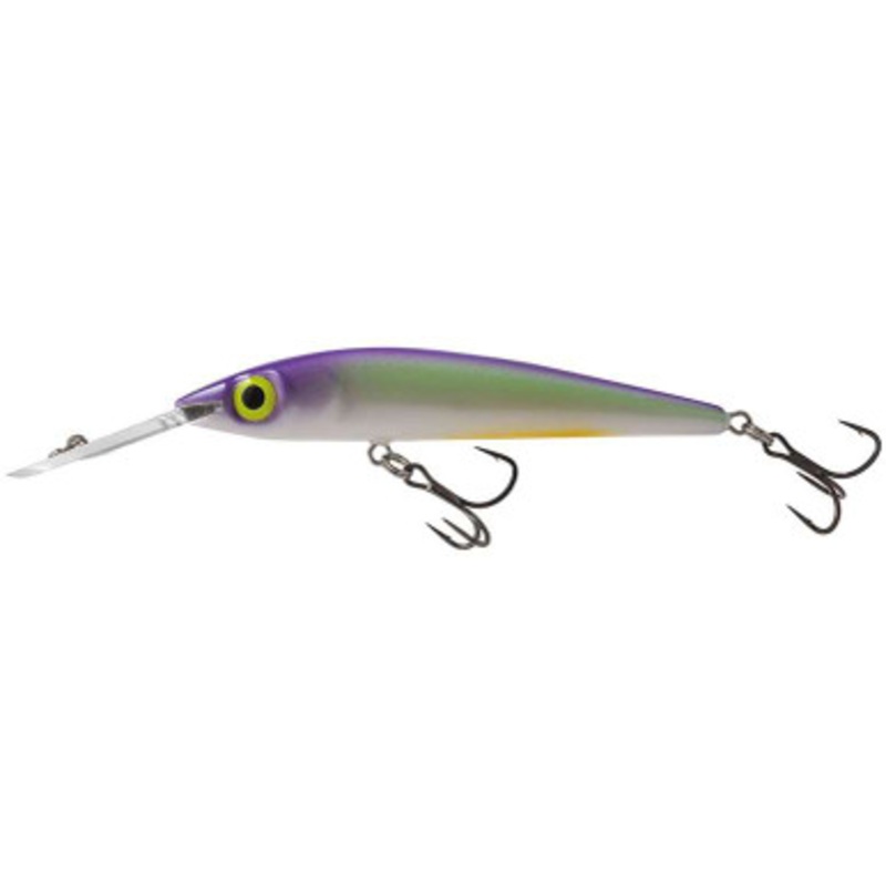 Salmo Rattlin’ Sting 9 Deep Runner Jerkbait – Table Rock Shad
