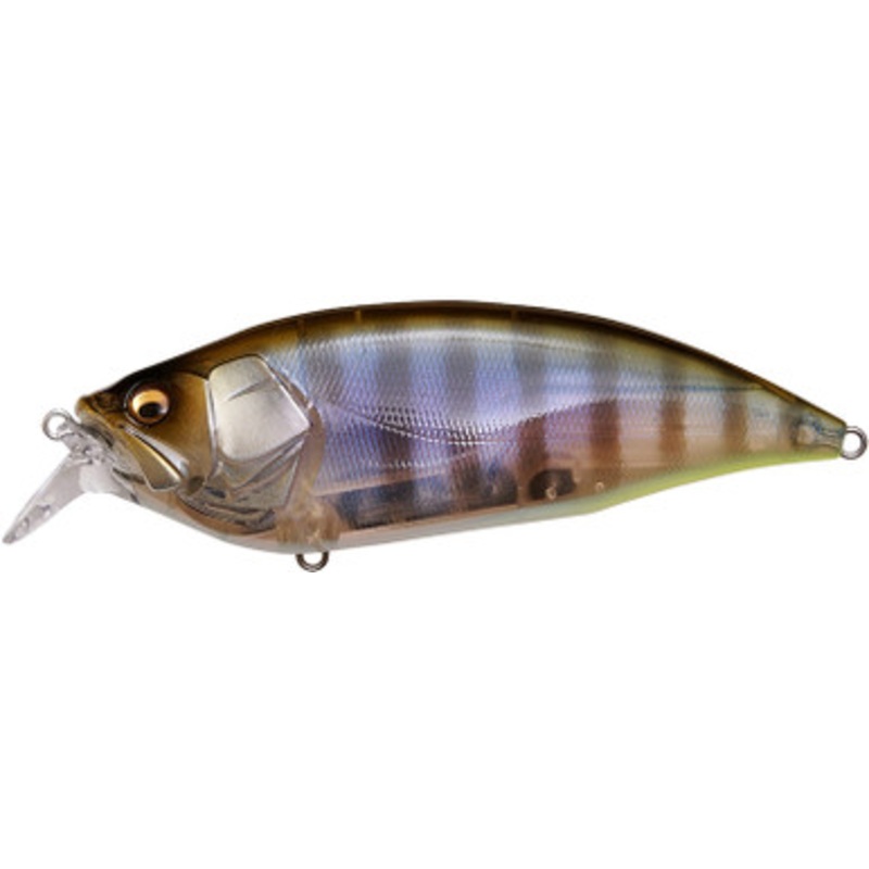 Megabass Big M 2.0 Crankbait – Gillikko