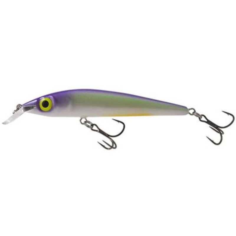 Salmo Rattlin’ Sting 9 Suspending Jerkbait – Table Rock Shad