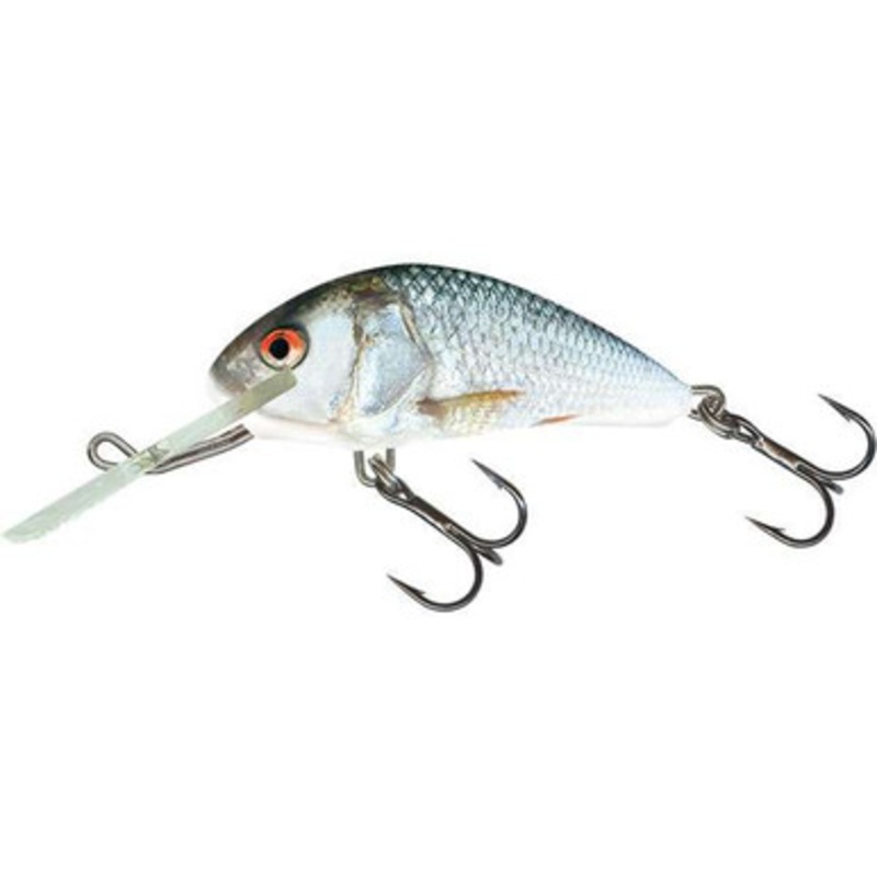 Salmo Hornet 6 Floating Crankbait – Real Dace