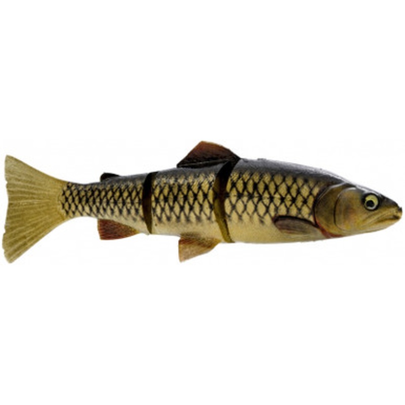 Savage Gear Pro Series 4D Line Thru Trout – 10in – Photo Carp